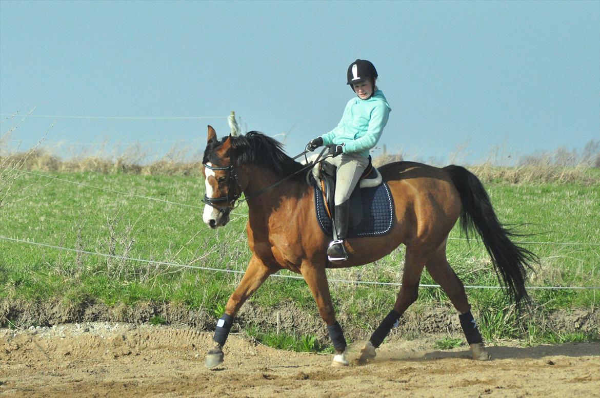 DSP Aluett <3 *min* (Savnet) - Sommer 2012 billede 12