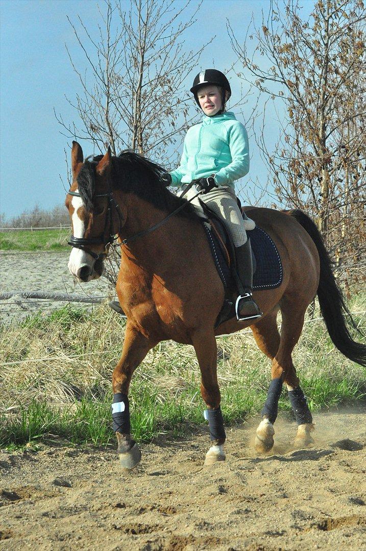 DSP Aluett <3 *min* (Savnet) - Sommer 2012 billede 13