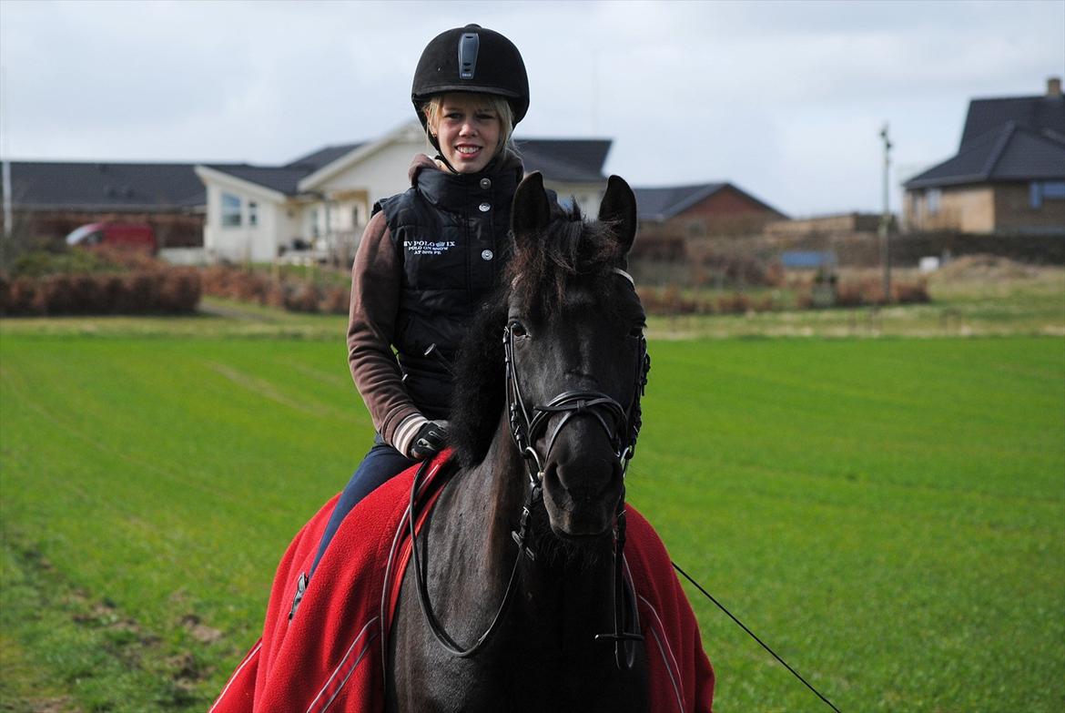 Anden særlig race Diablo - Verdens bedste pony!! [Foto: mor med mit kamera] billede 1