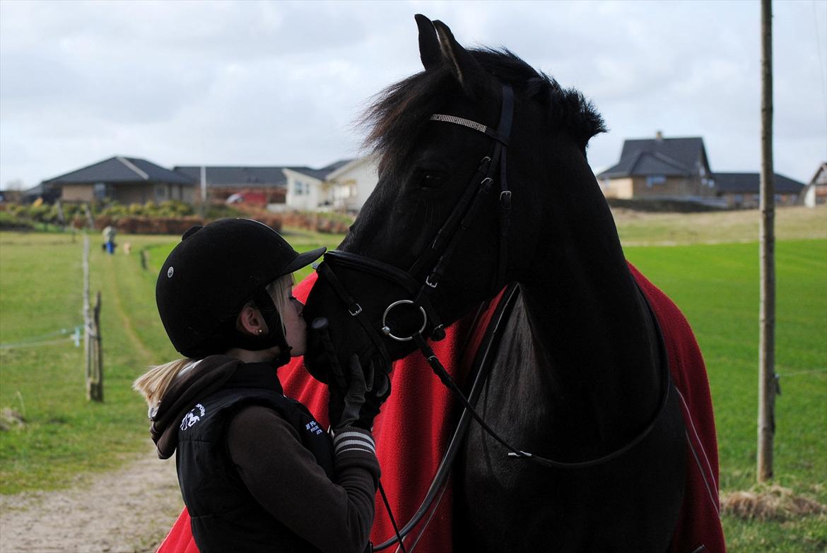 Anden særlig race Diablo - Verdens bedste pony!! [Foto: mor med mit kamera] billede 13