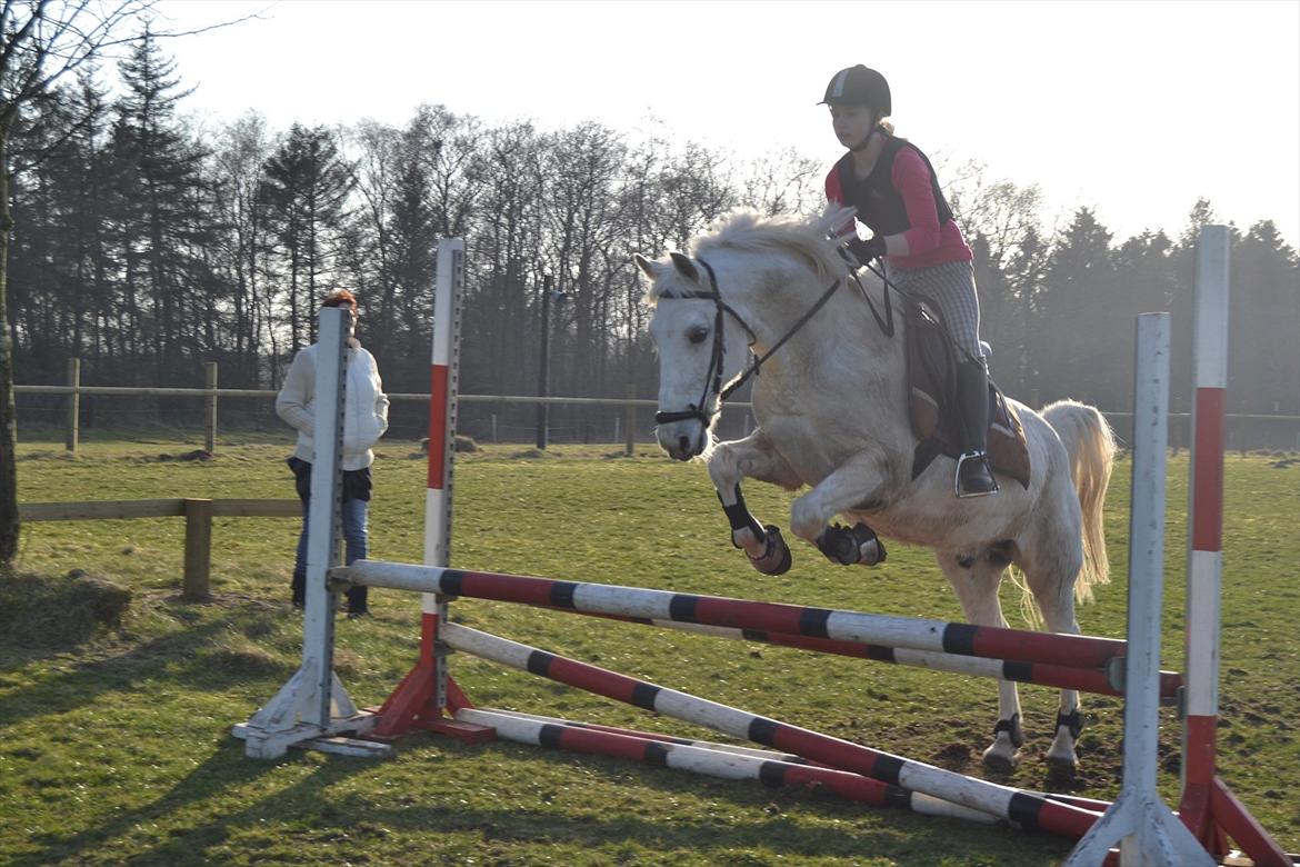 Anden særlig race MisseKatten Lucas<3 - Springning  billede 4