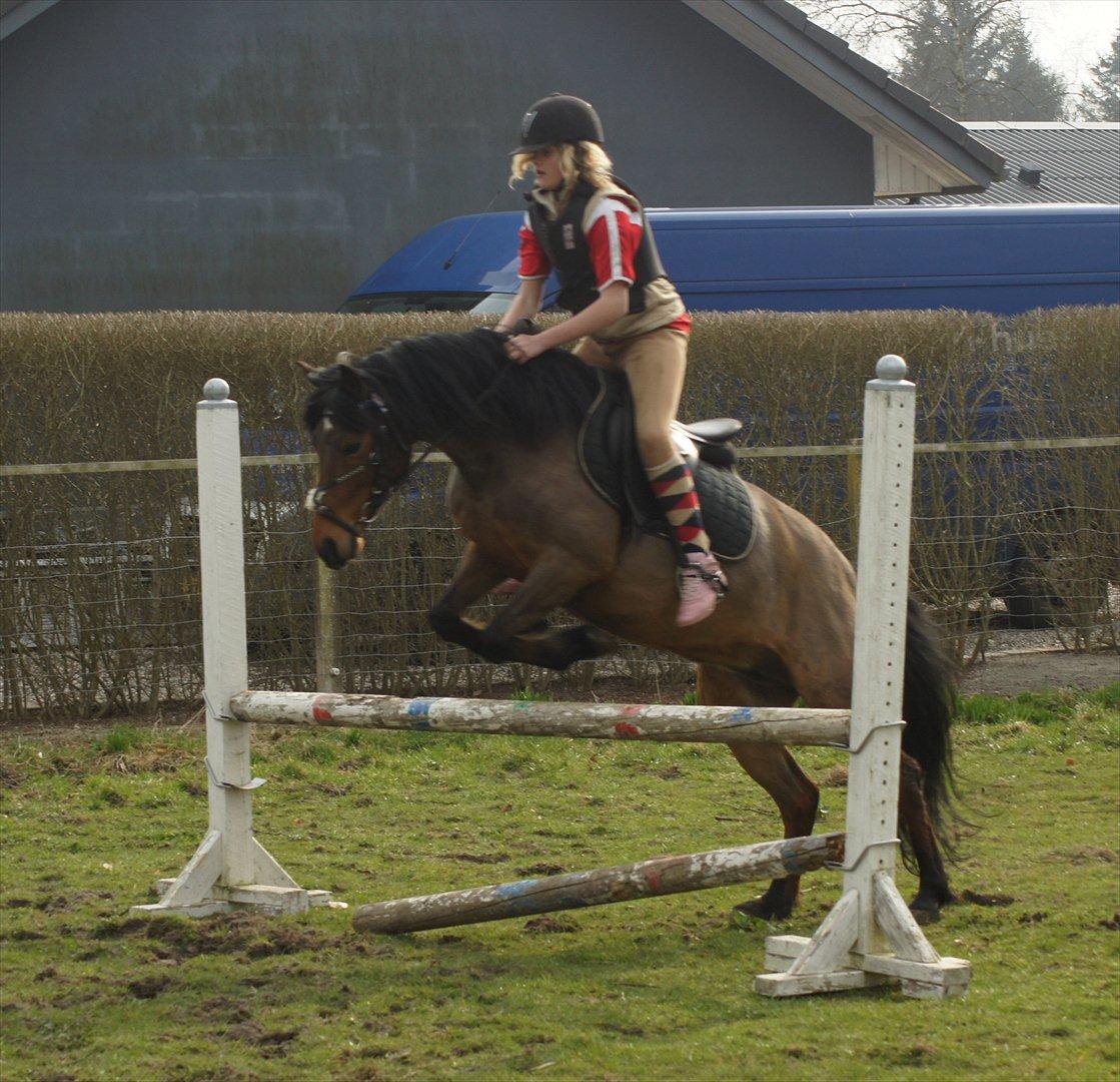 Anden særlig race Stjerne billede 1