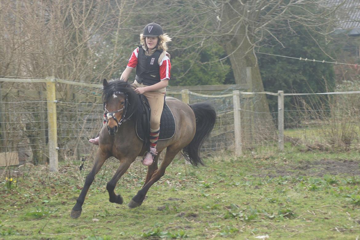 Anden særlig race Stjerne billede 6