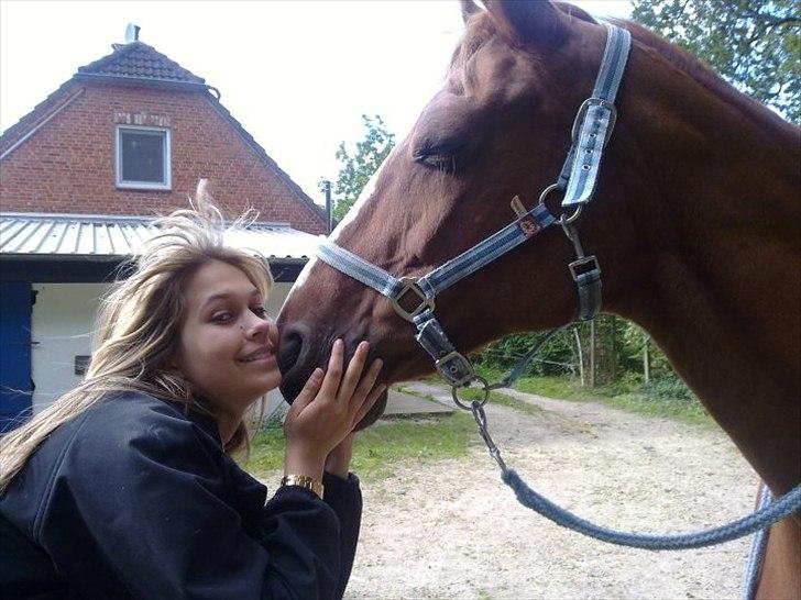 Hannoveraner Garwina billede 1