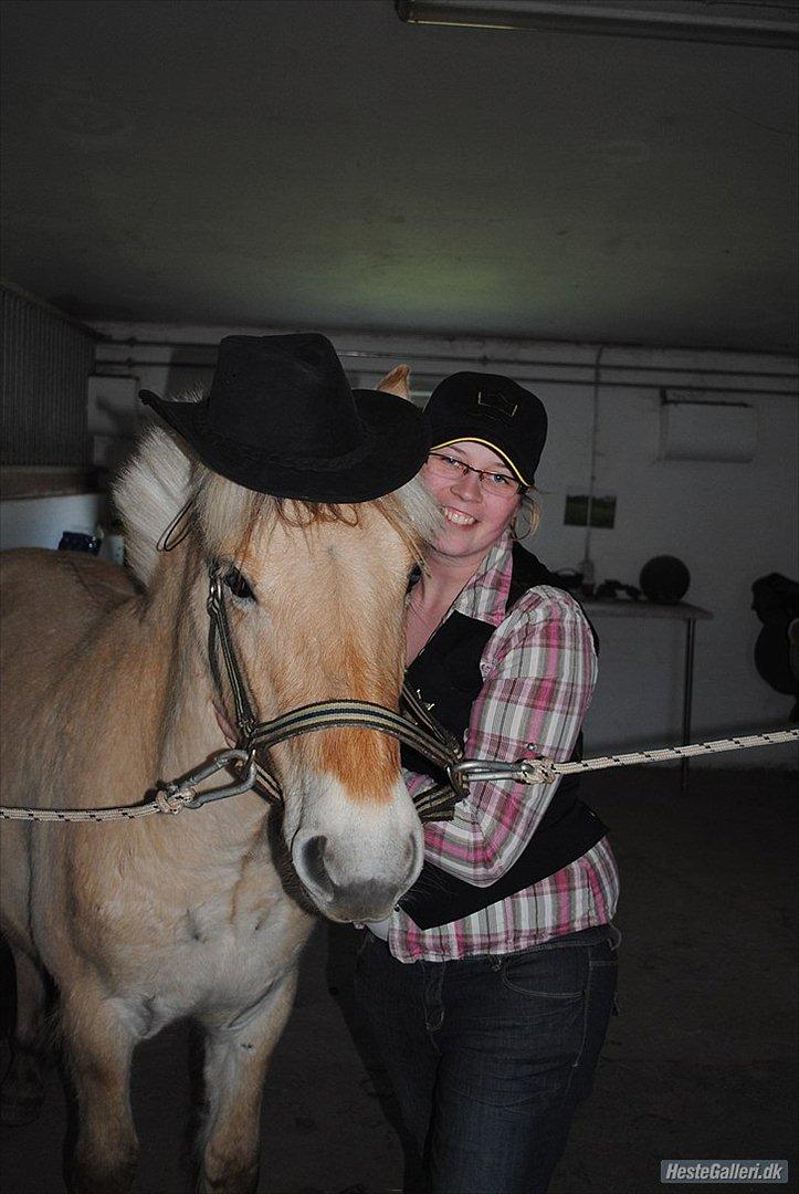 Fjordhest figther - figther med cowboy hat på billede 7