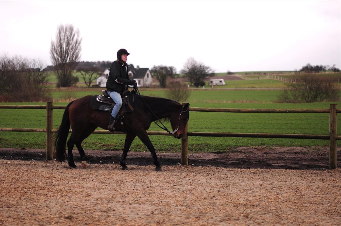 Quarter Really A Catalyst billede 11