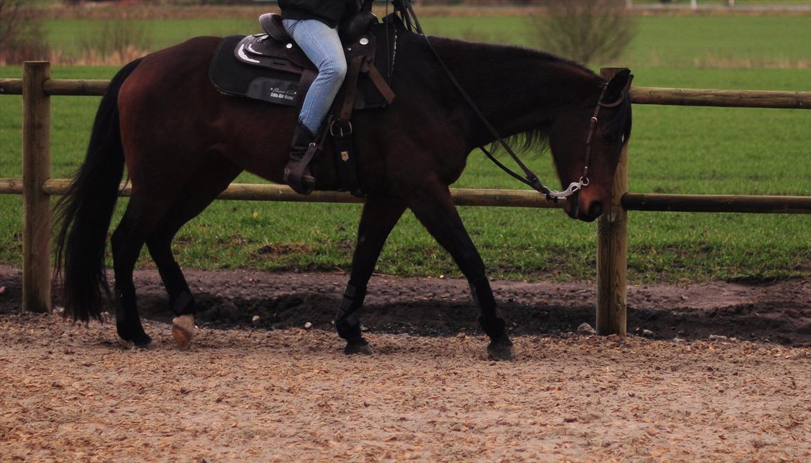 Quarter Really A Catalyst billede 13