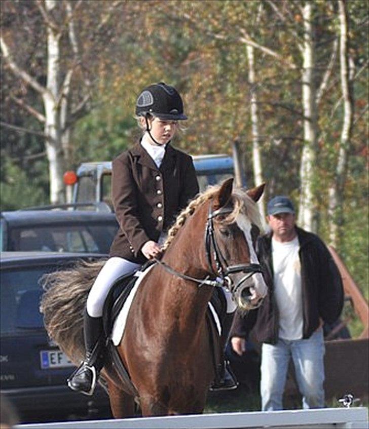 New Forest Sun Fire l Soulmate l - Nurh! :'D <3 på vej ind til LB1 (: 
foto: psyko foto billede 18