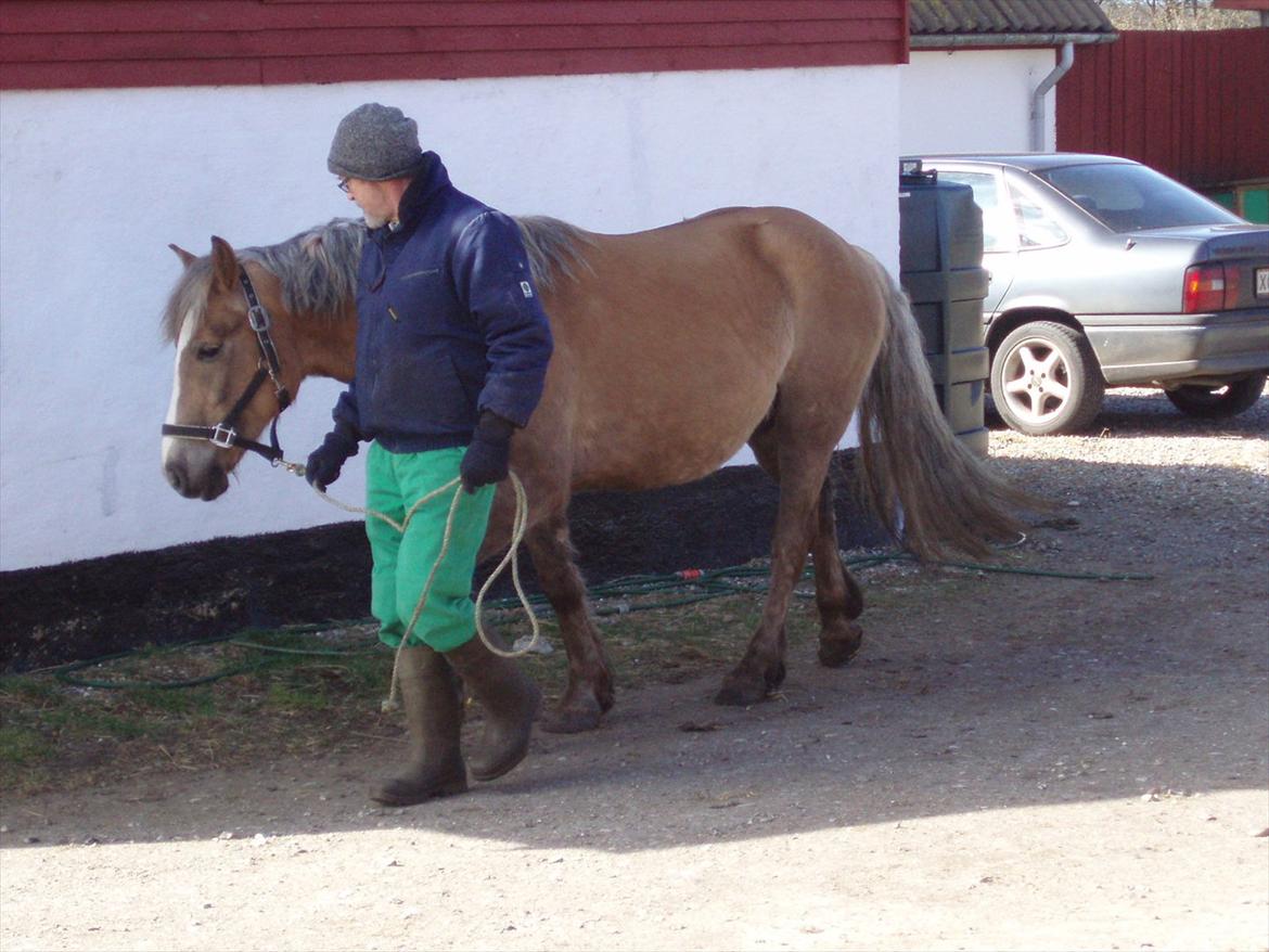 Anden særlig race RAS "Flotte fyr" - Harry på vej på gå tur med Ras under Rass sygdom
31 Marts 2012 billede 11