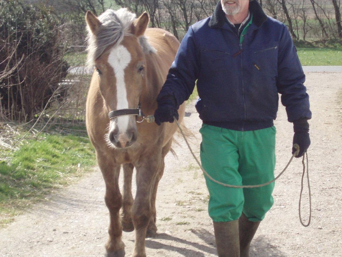 Anden særlig race RAS "Flotte fyr" billede 12
