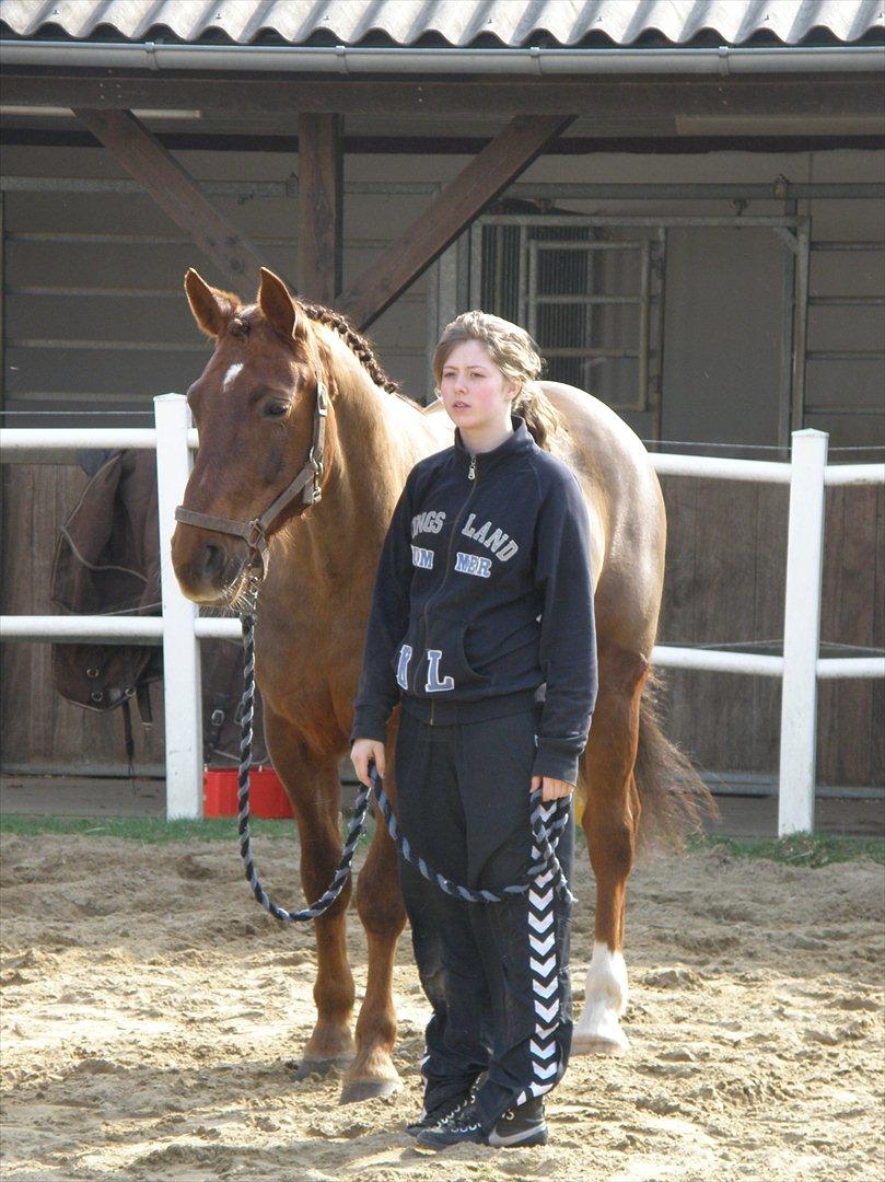 Anden særlig race Minali - Johanne har striglet Minali og lavet rosenknopper i anledning af striglekonkurrencen, som de vandt :) billede 5