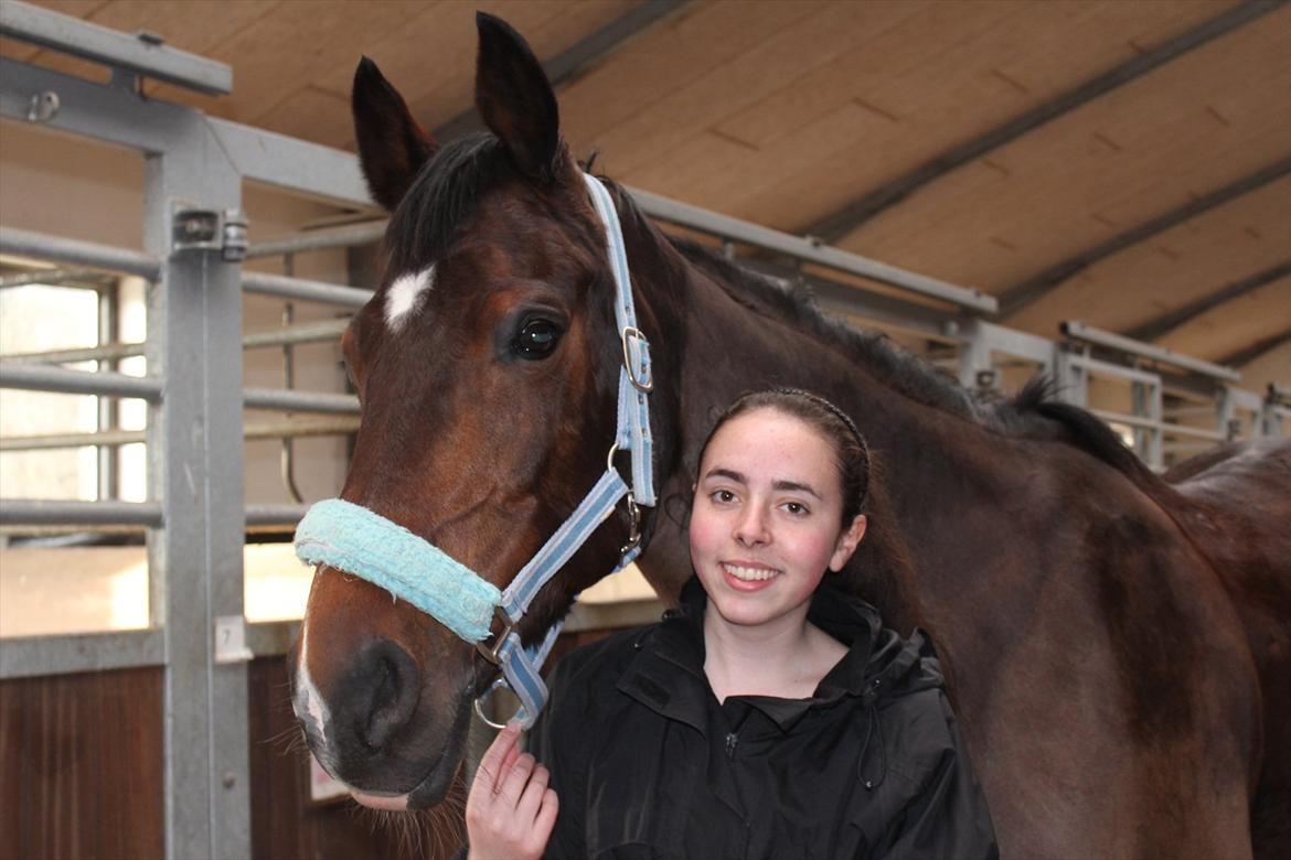 Dansk Varmblod San Luca - Mig og Luca :-) Foto: Sofie Christensen billede 1