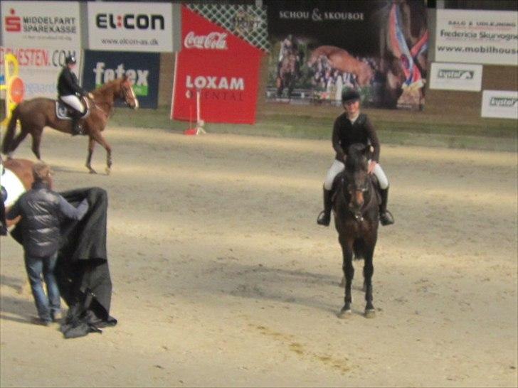 Holstener Carlos "Solgt til USA" - præmieoverrækkelse 2 plads ud af 31 ;) Kun to fejlfrie ryttere ;) 
Dygtige Carlos <3 billede 9