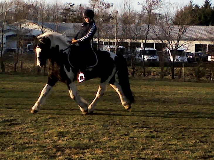 {{currentPhoto.altText}} billede {{currentPhoto.number}}