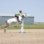 Anden særlig race mary