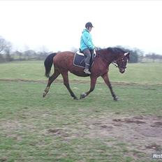 Anden særlig race Lutricia aka Tricia <3