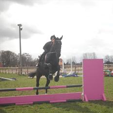 Oldenborg Buster 