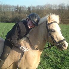 Welsh Mountain (sec A) Emil