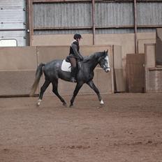 Anden særlig race Ferdinand Pascal