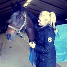 Anden særlig race  TOFTEGAARDENS STAR-LIGHT