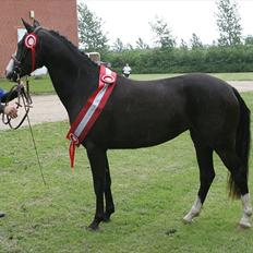 DSP Haahr's Gaia BRSDH