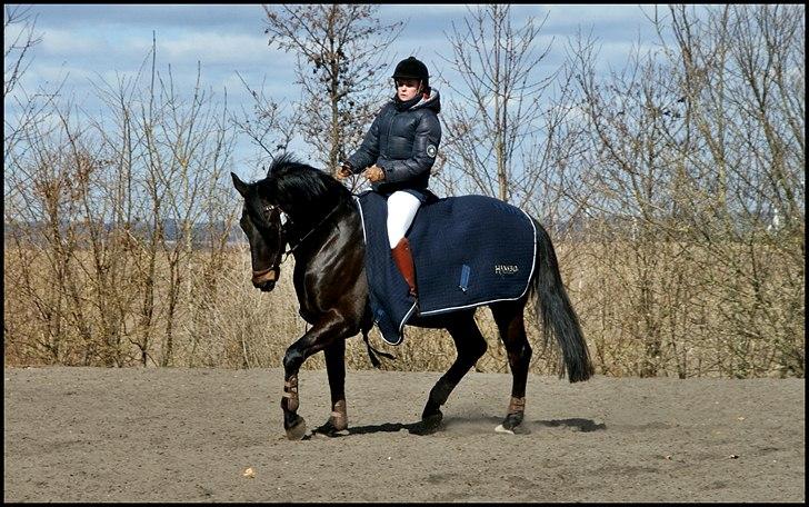 Oldenborg Moonlight - LB* og LB** til C-stævne på Skaarupgaard rideklub 31-03-2012 billede 16