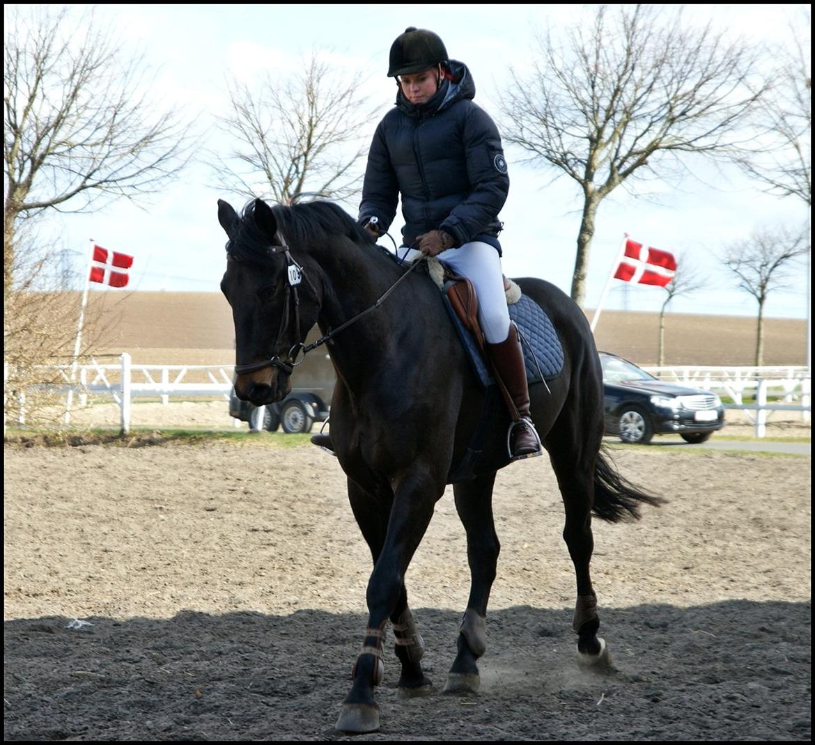 Oldenborg Moonlight - LB* og LB** til C-stævne på Skaarupgaard rideklub 31-03-2012 billede 17