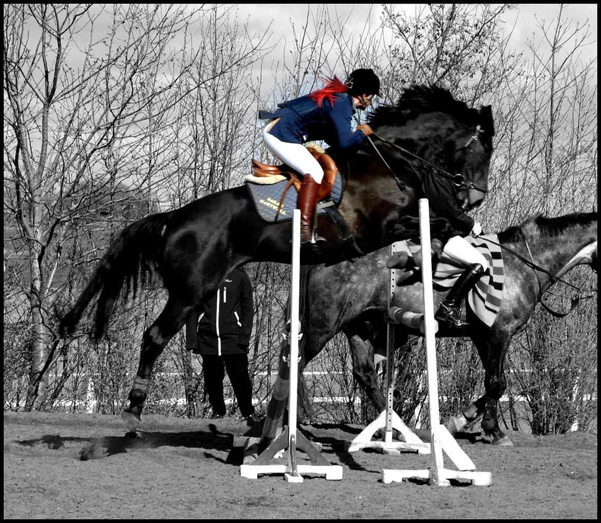 Oldenborg Moonlight - LB* og LB** til C-stævne på Skaarupgaard rideklub 31-03-2012 billede 20