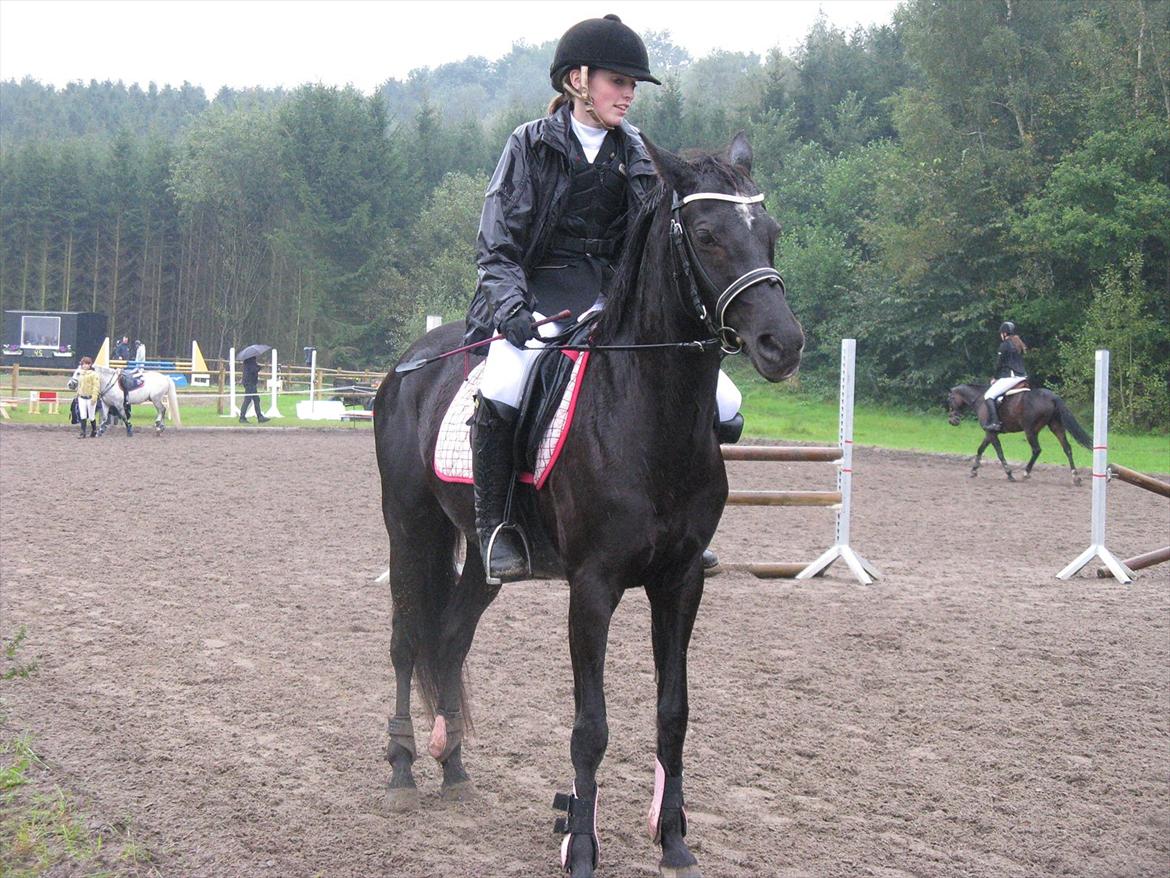 Welsh Partbred (Sec F) Wendy Van De Gezandebaan - MB** i øsende regn HIRI 18.09.11 billede 17