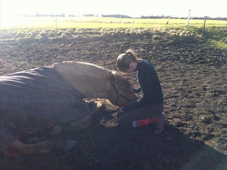 Anden særlig race Lukas - Det er disse stunder jeg elsker mest. billede 7
