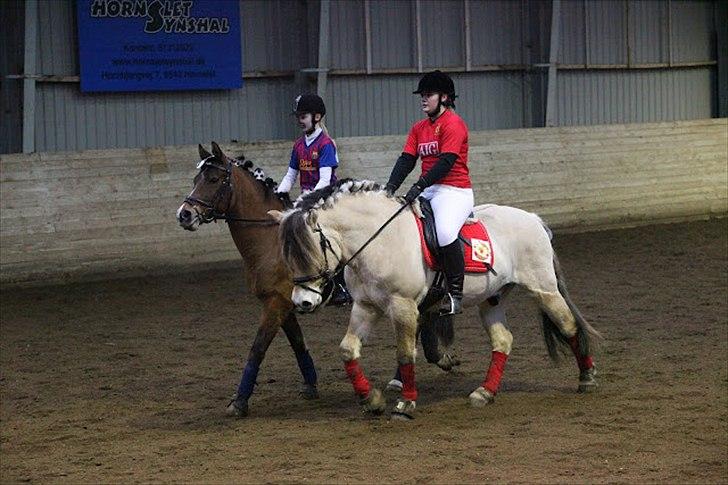 Fjordhest Lue klattrup - Til fastelavnsstævne med Maya og Dalton :) billede 19