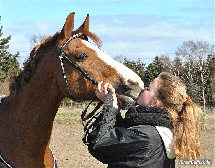 DSP Fundi - jeg elsker dig <3 billede 1