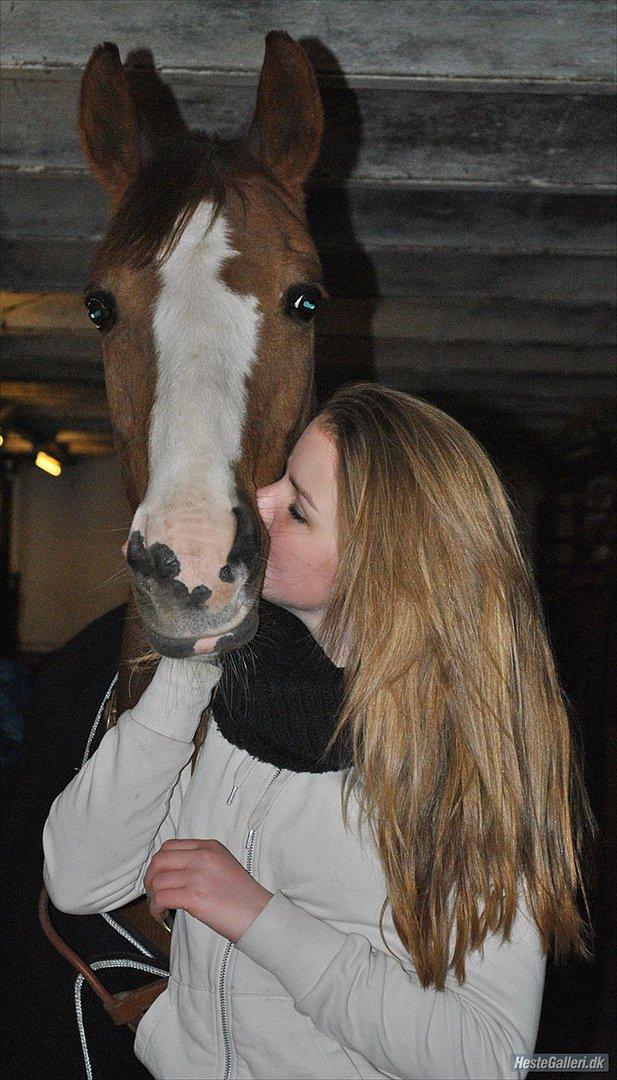 DSP Fundi - Kun dig  billede 2