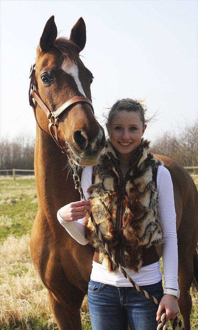 Hollandsk Sportspony Naomi SOLGT - "Den som ikke har følt ubetinget kærlighed - har aldrig ejet en pony!" Naomi? Elsker dig højere end nogen anden på denne jord. Du er simpelthen alt.. Uden dig, ville jeg ikke være her! 
Billedet er taget af: Cecilie Ølvang - Tak søde :) billede 10