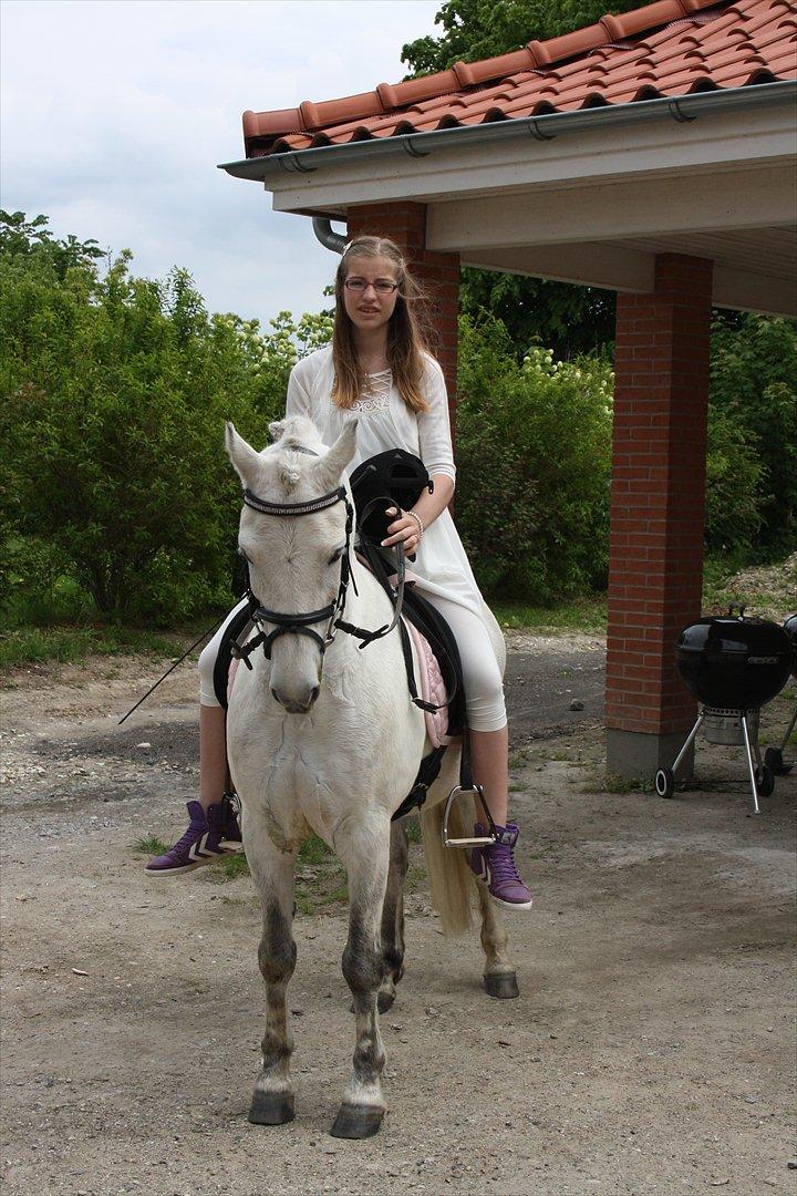 Anden særlig race Bandit "den elskede" :D <3 - Billed 5. Min uforglemmelig konfirmation :D billede 5