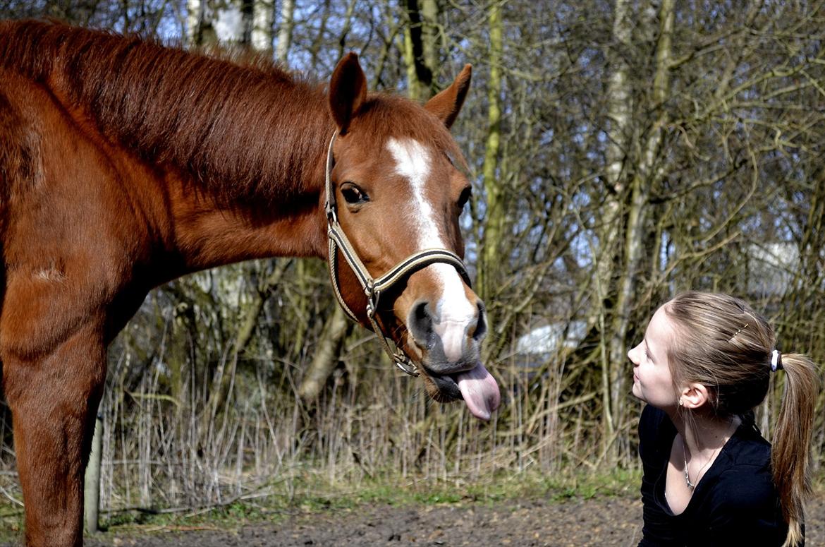 Anden særlig race Carlo  - 9 ♥ Fjollegøj.. Du kan altid få mig til at smile:) 
I ♥ you!!
[ Foto: Lara ] ♥
 billede 8