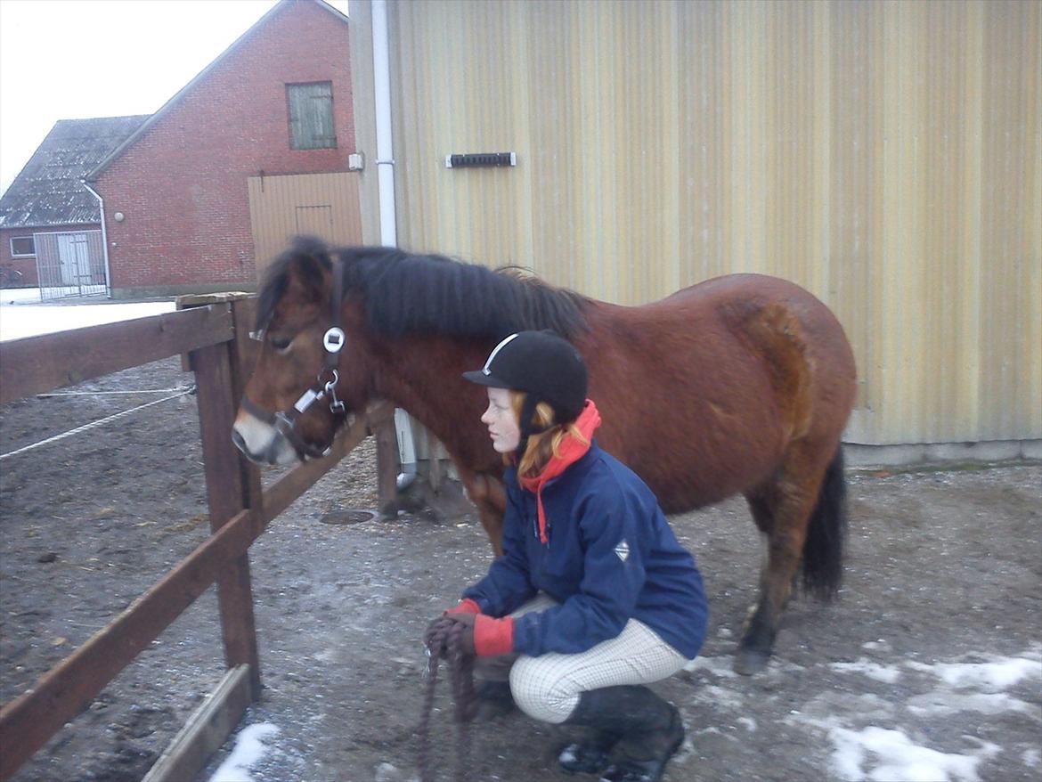 Anden særlig race Bølle Bob [Har redet] - Loving you is like breathing ... How can I stop?

Foto: Fie (Hende der rider ham nu) billede 15