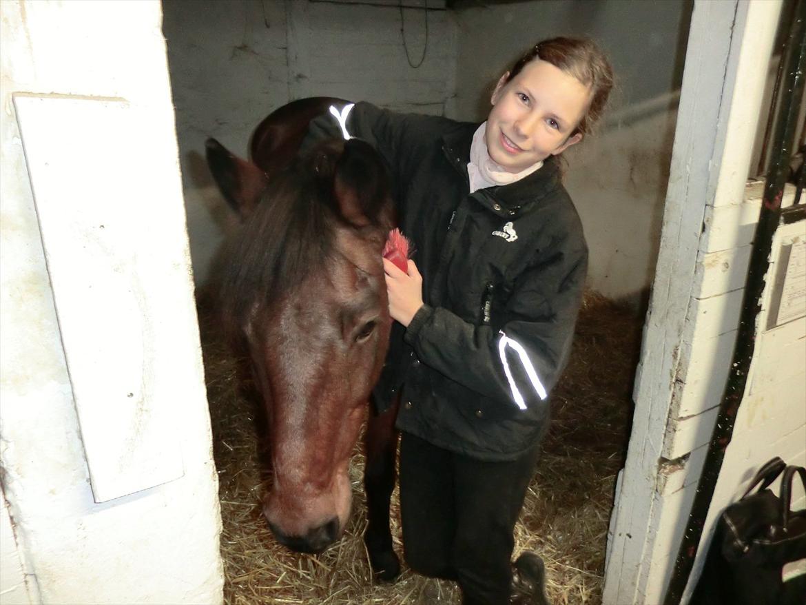 Anden særlig race Felix - My Soulmate<3 billede 3