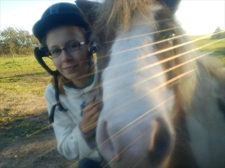 Anden særlig race Sir Ibrahim.  billede 8