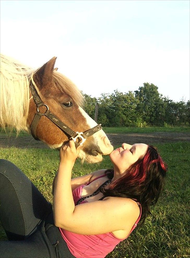 Anden særlig race Sir Ibrahim.  billede 9