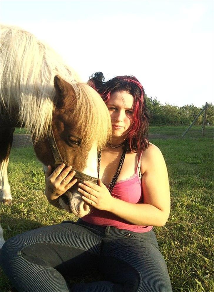 Anden særlig race Sir Ibrahim.  billede 10