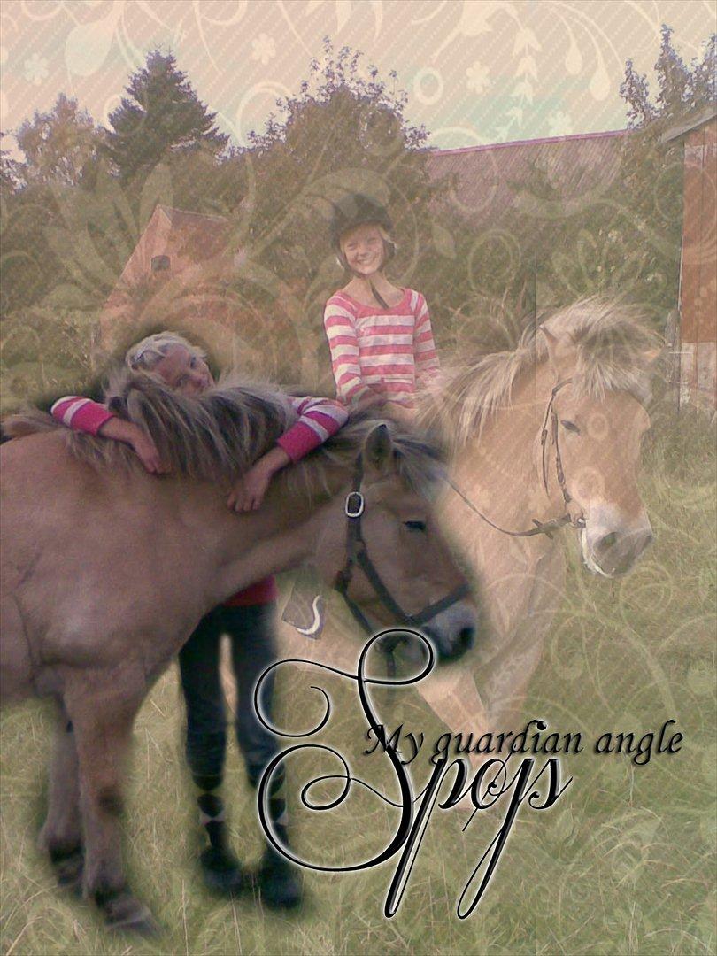 Fjordhest Spøjs |my angle| - Spøjs du min Beskytter<3 billede 1