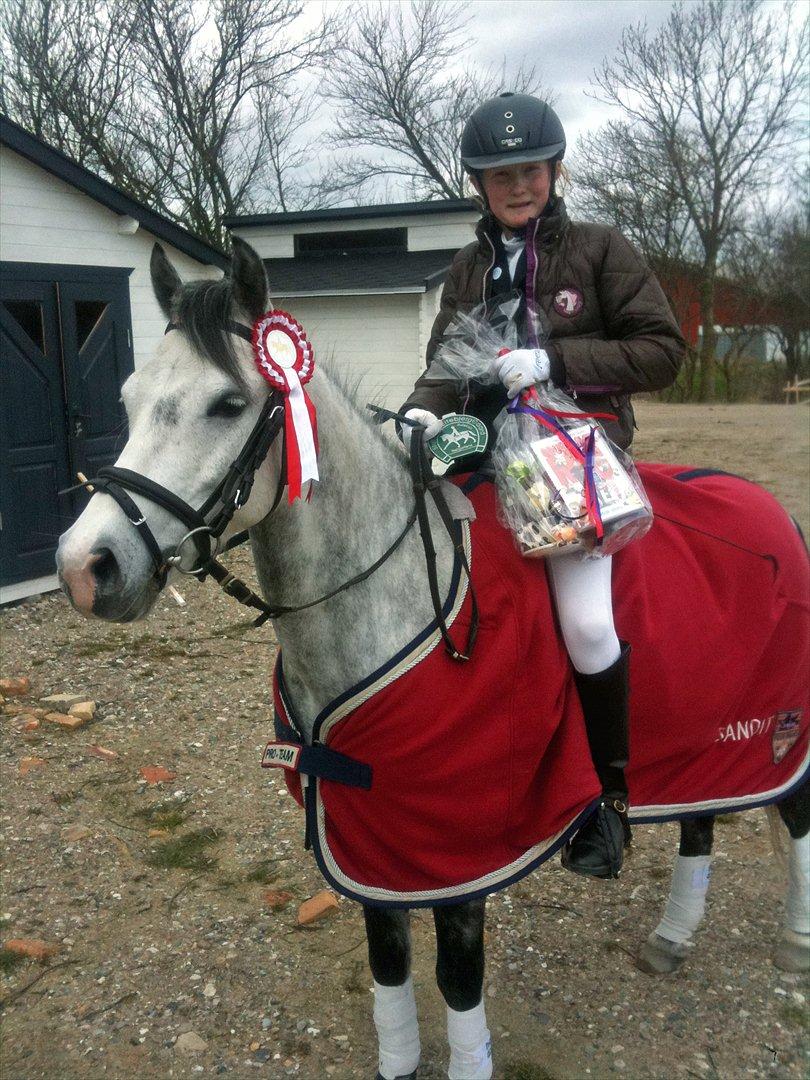 Hollandsk Sportspony Bandit SOLGT:( - VANDT VORES 3. LB1<3<3<3 elsker min dressurstjerne!<3<3<3<3<3 billede 6