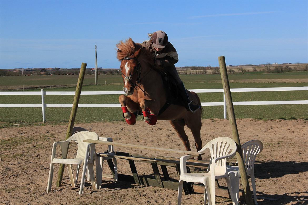 Anden særlig race Højvangen´s Lukas<3 billede 10