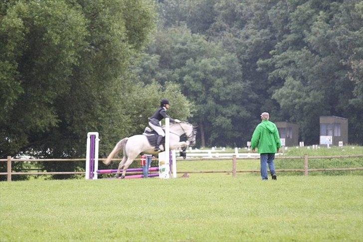 Welsh Pony (sec B) Jason - TNKR 2011 *1. - og 4. plads* billede 13