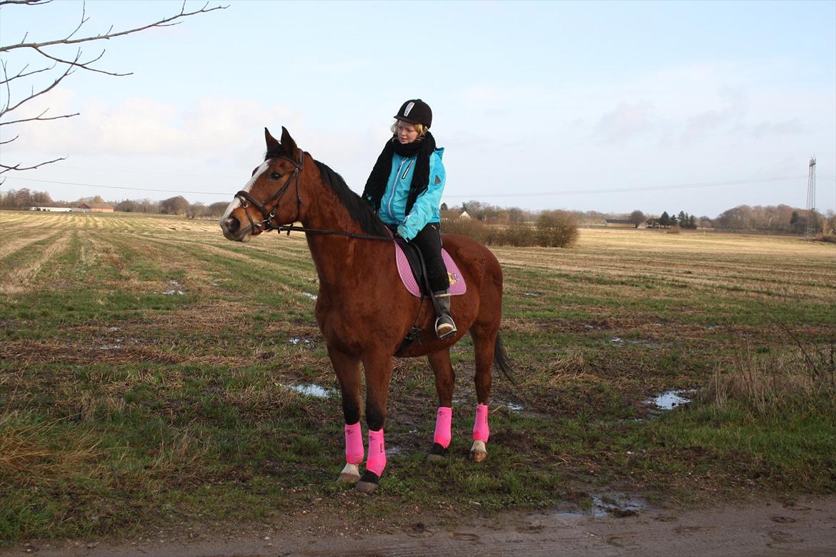 Anden særlig race Lutricia aka Tricia <3 billede 5