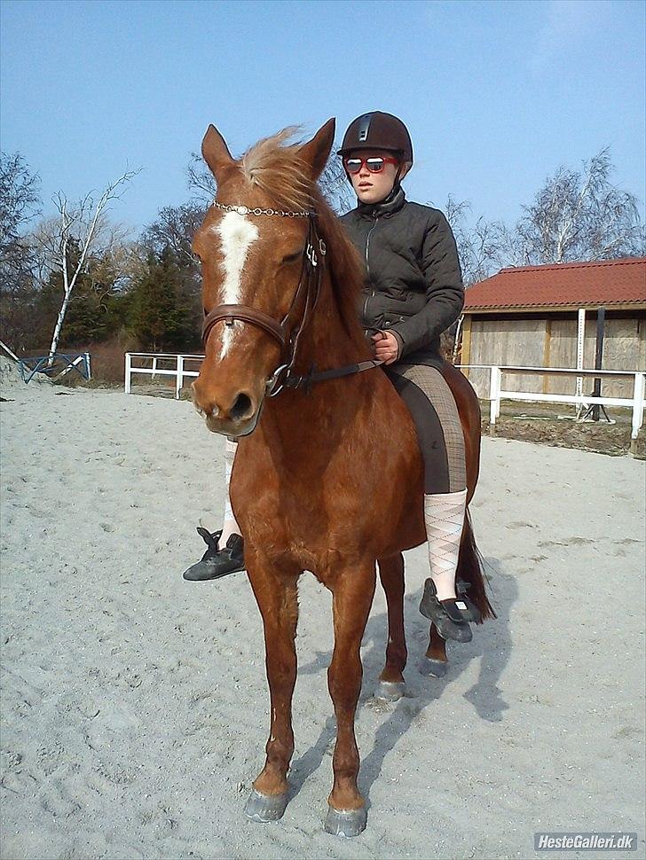 Anden særlig race Hur's Blundy *my soulmate* R.I.P - mig og mit totalt seje agent ansigt:-D *foto Emma* billede 18