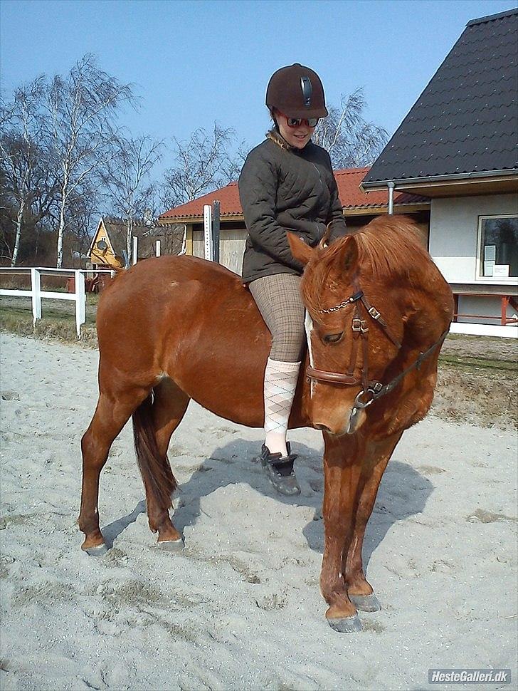 Anden særlig race Hur's Blundy *my soulmate* R.I.P - Nuuurh søde Blundy<3 *foto Emma* billede 19