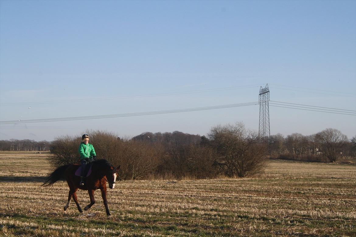 Anden særlig race Lutricia aka Tricia <3 billede 10