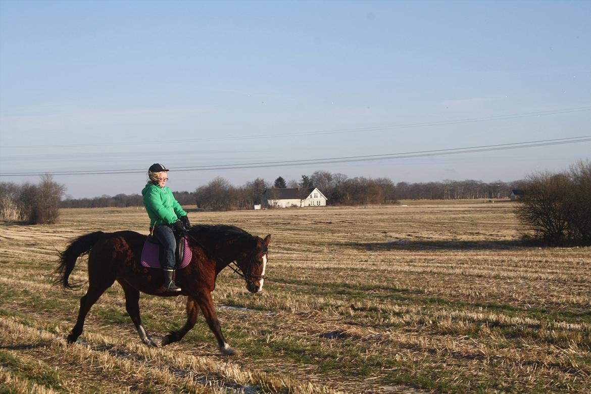 Anden særlig race Lutricia aka Tricia <3 billede 11